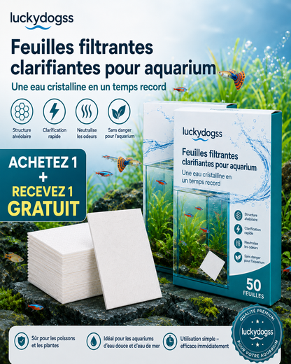 FEUILLES CLARIFIANTES POUR AQUARIUM - Une eau cristalline en 24 heures, élimine les odeurs et les impuretés, sans danger pour tous les poissons et toutes les plantes 🌿🔮