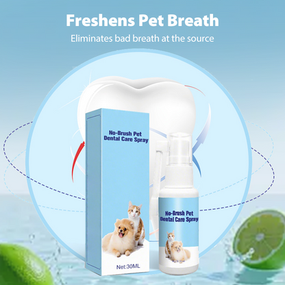 Spray dentaire sans brosse pour animaux de compagnie