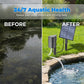 ☀️ Aérateur solaire pour bassin avec pompe à air intégrée🐟