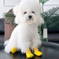 🐶✨ PROMO -50% ! Chaussettes Chien Antidérapantes Imperméables – Semelle Caoutchouc Étanche, Adhérence Texturée, Sangle Ajustable, Tricot Respirant · 5 Coloris · S/M/L · 1 Acheté 1 Offert 🐾
