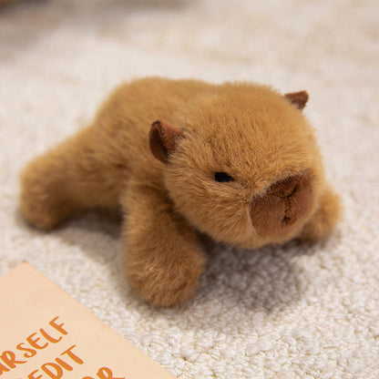 🐱Peluche Aimantée pour Frigo – Velours Vison & PP – Aimant Caché & Toucher Nuage for Décoration
