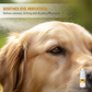 🐶💧Gouttes ophtalmiques douces pour animaux de compagnie